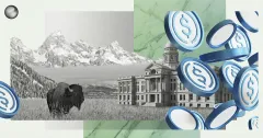 A U.S. law document and gavel beside stablecoin icons, used to illustrate a state-issued stablecoin launch and regulatory controls